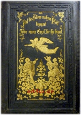 Leben und Heimath in Gott : Eine Sammlung Lieder zu frommer Erbauung und sittlicher Veredlung.