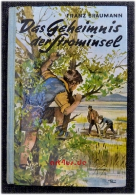 Das Geheimnis der Strominsel : Eine Erzählung
