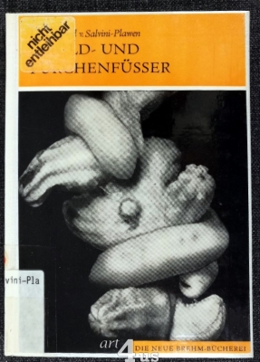 Schild- und Furchenfüsser : (Caudofoveata u. Solenogastres), verkannte Weichtiere am Meeresgrund.