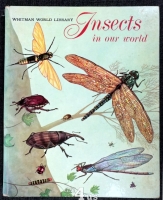 Insects In our World