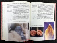 Welt der Mineralien in Farbe.