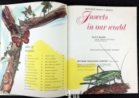 Insects In our World